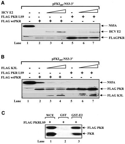 FIG. 5.