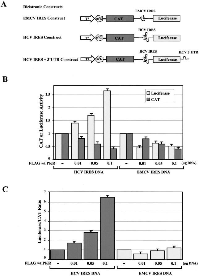 FIG. 7.