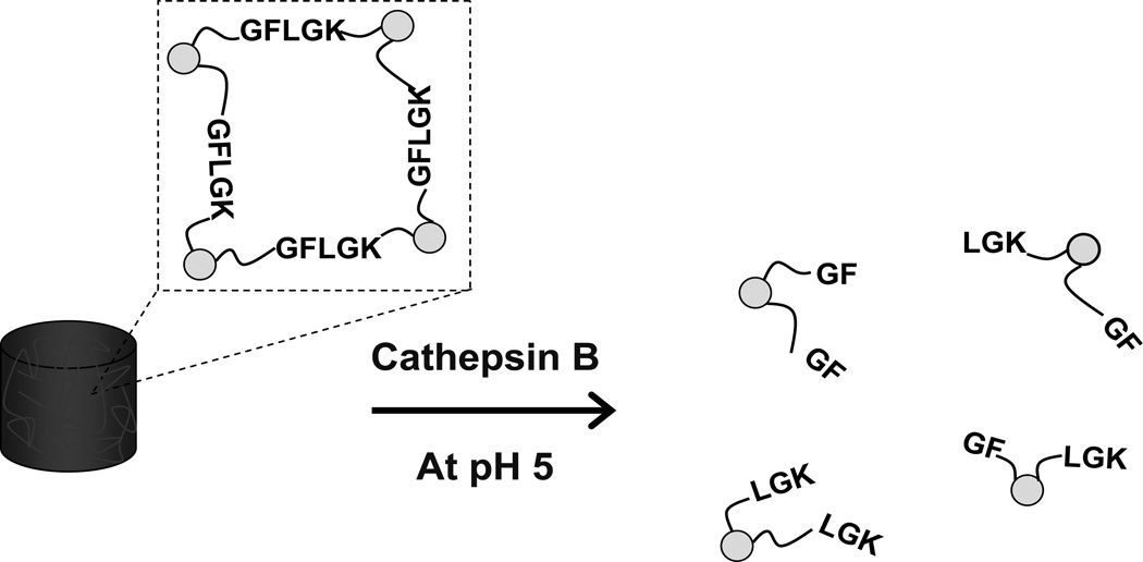 Fig.8