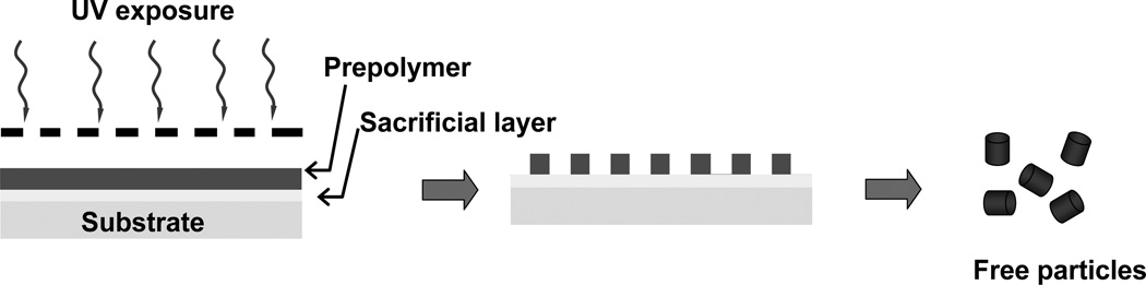 Fig.3