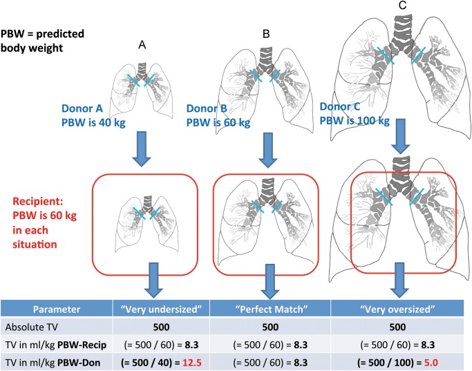 Figure 1: