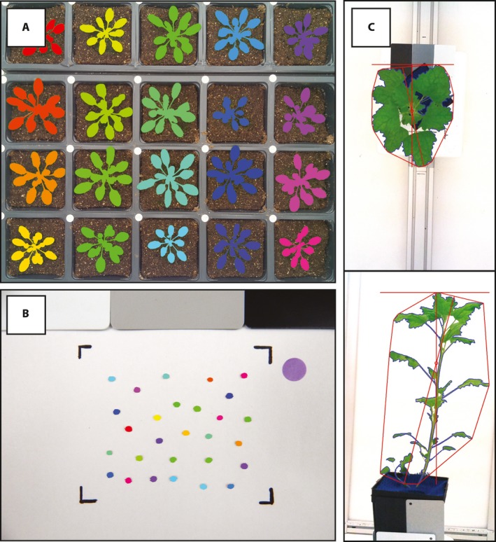 Figure 2