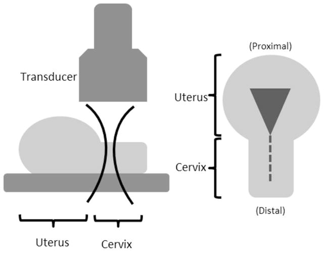 Fig. 1