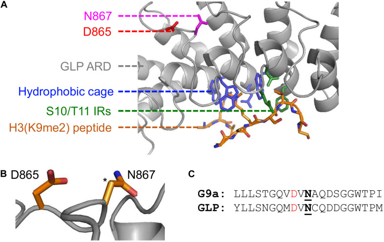 FIGURE 2