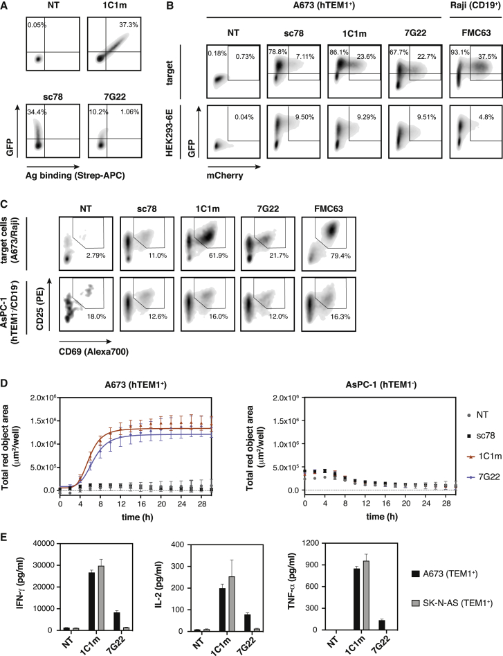 Figure 2