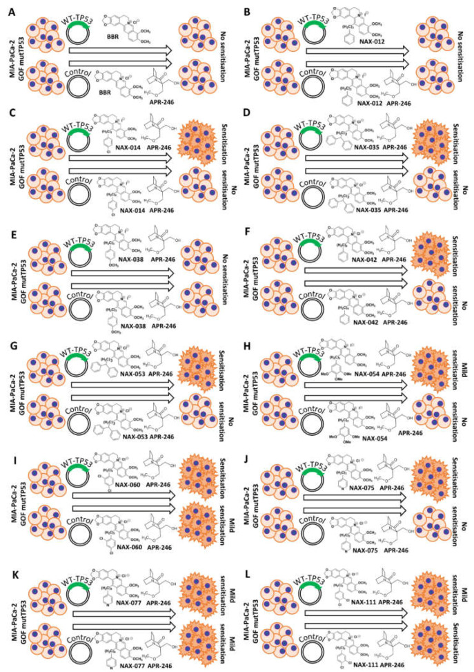 Figure 10