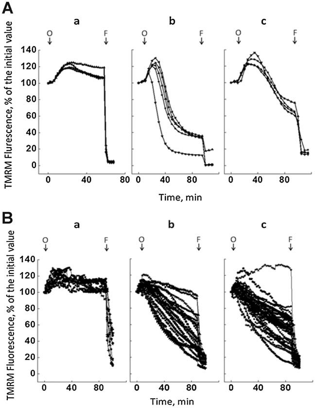 Fig. 5