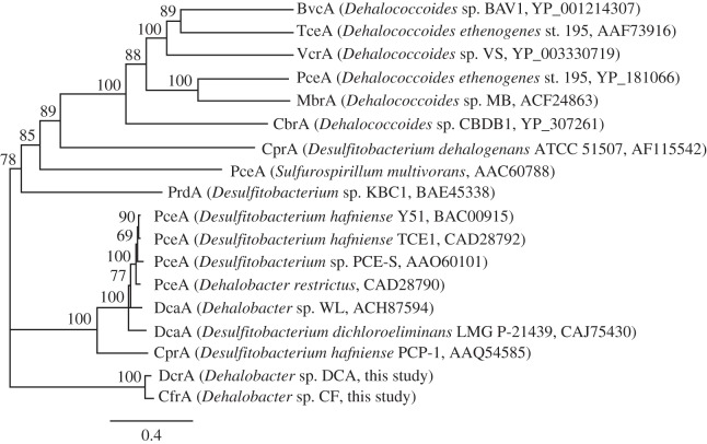 Figure 6.