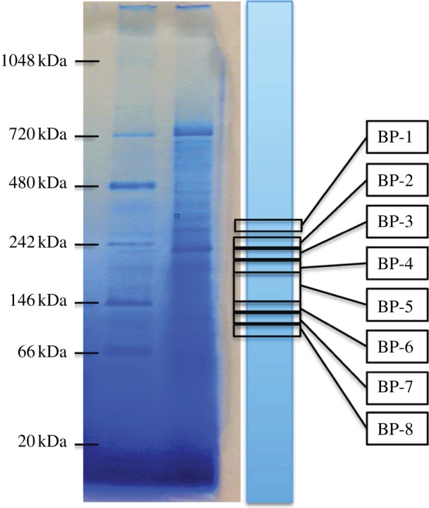 Figure 1.