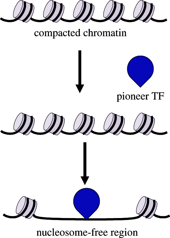 Figure 1.