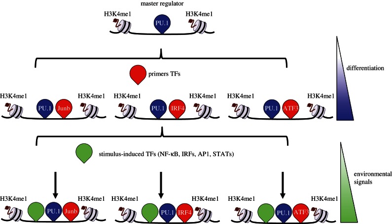 Figure 2.