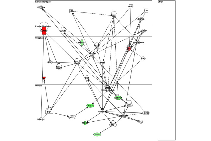 Figure 10.