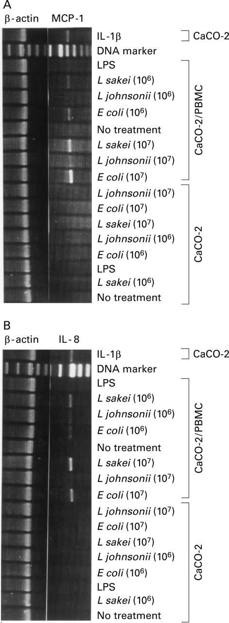 Figure 1  