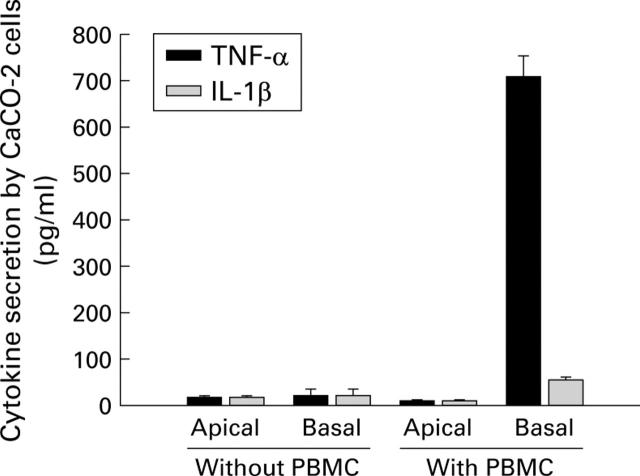 Figure 3  