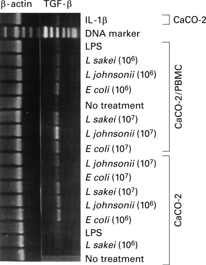 Figure 4  