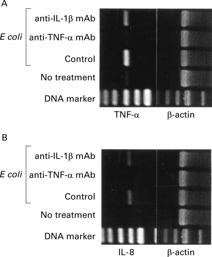 Figure 6  