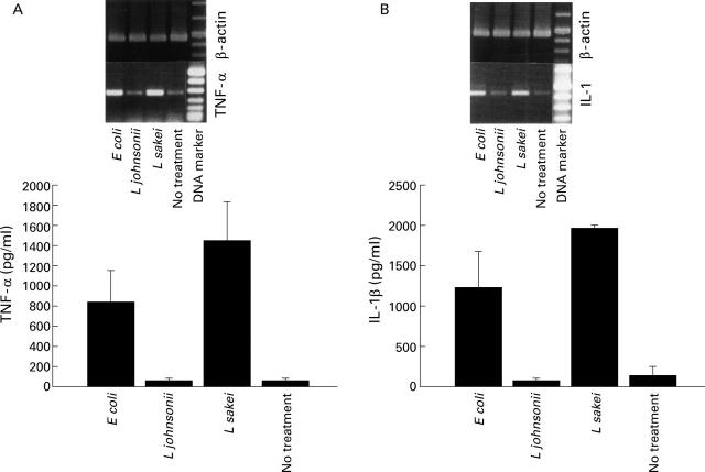 Figure 2  