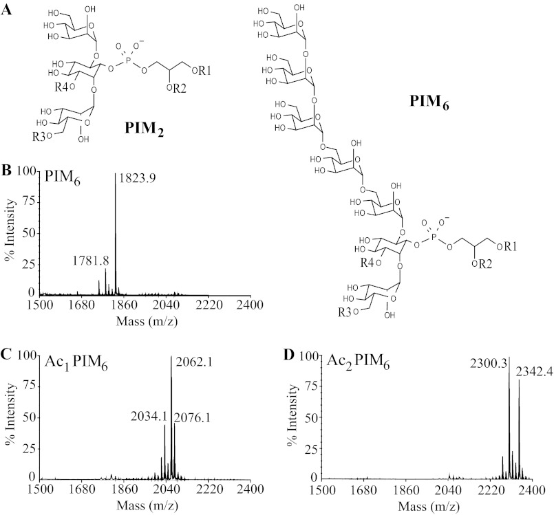 FIGURE 1.