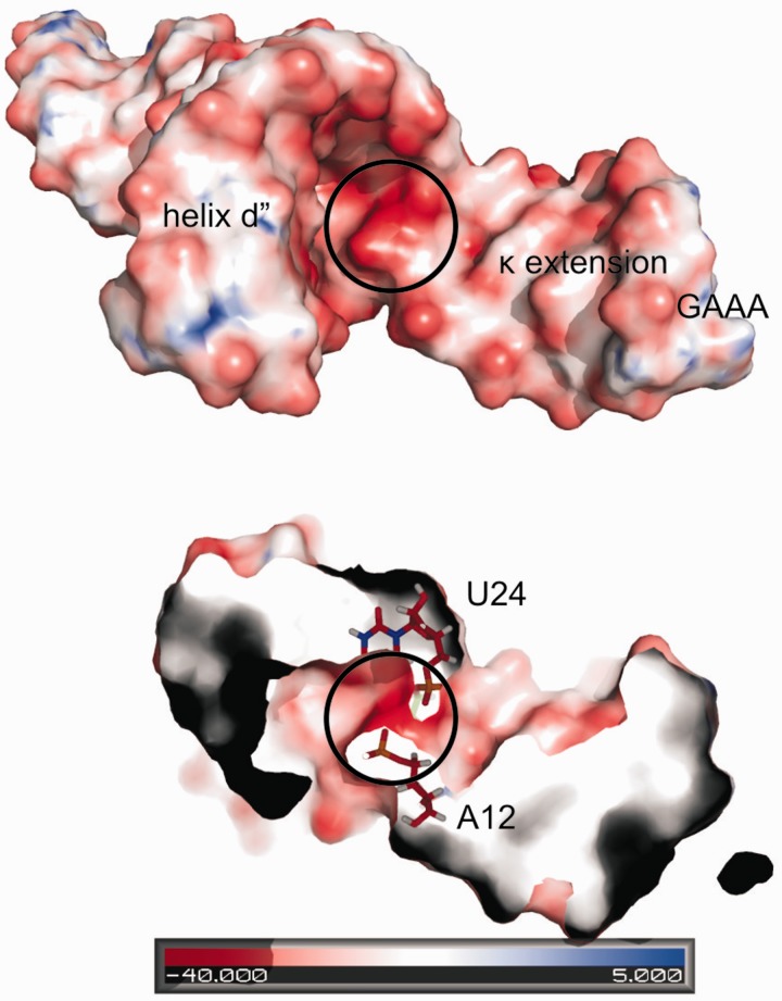 Figure 11.