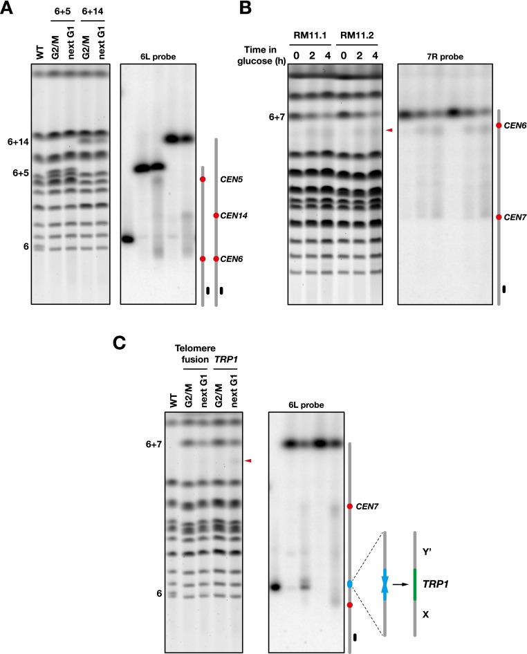 Figure 2.