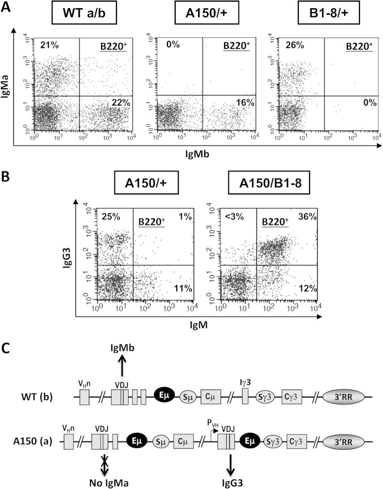 FIG 1