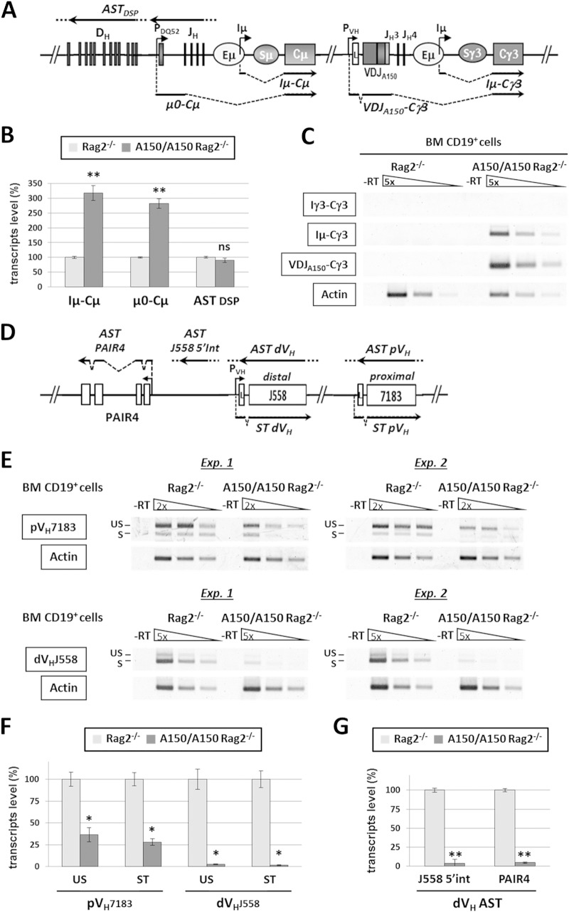 FIG 3