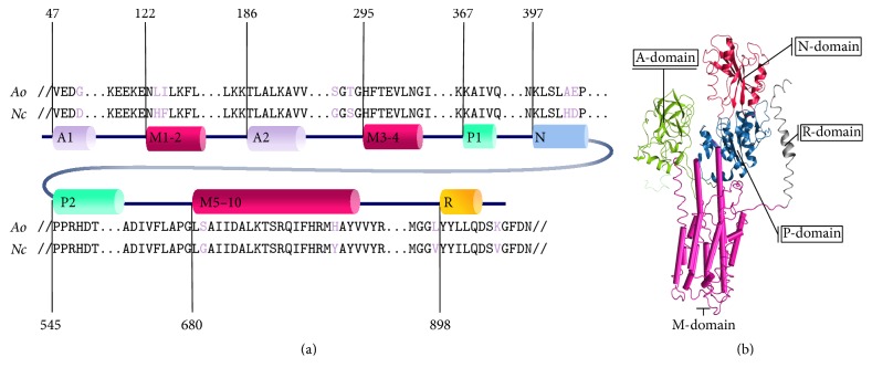 Figure 4