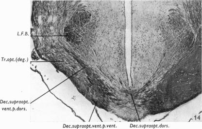 Fig. 14