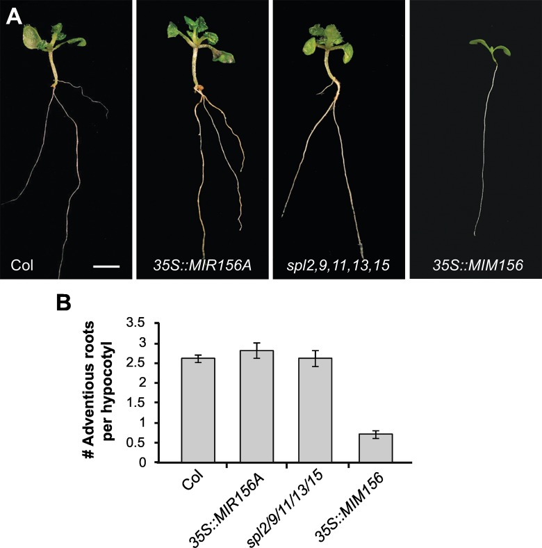 Fig 8