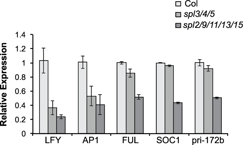 Fig 6