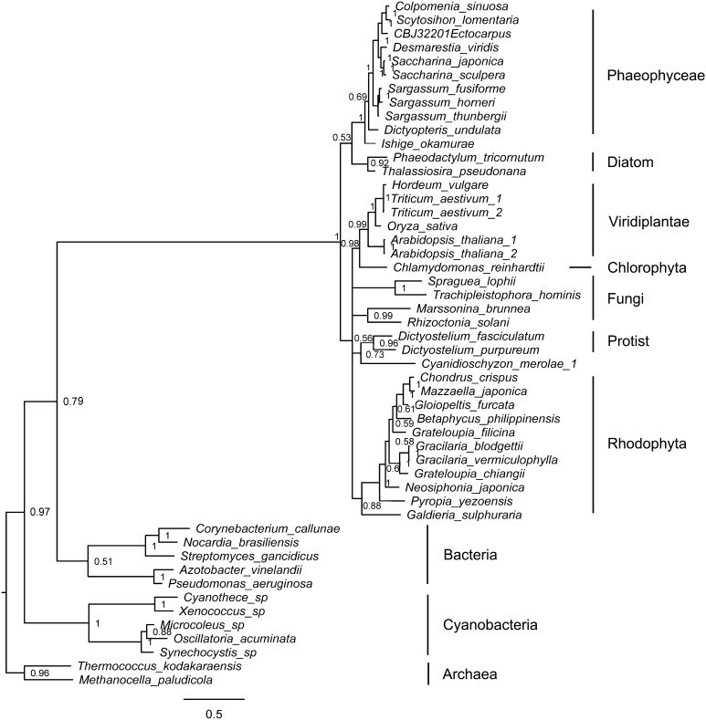 Fig. 2