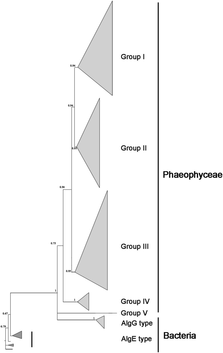 Fig. 4