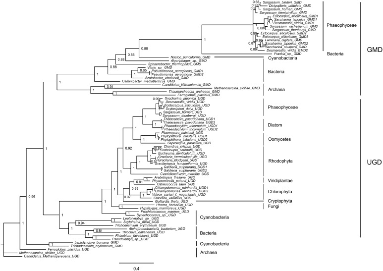 Fig. 3