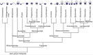 Fig 14