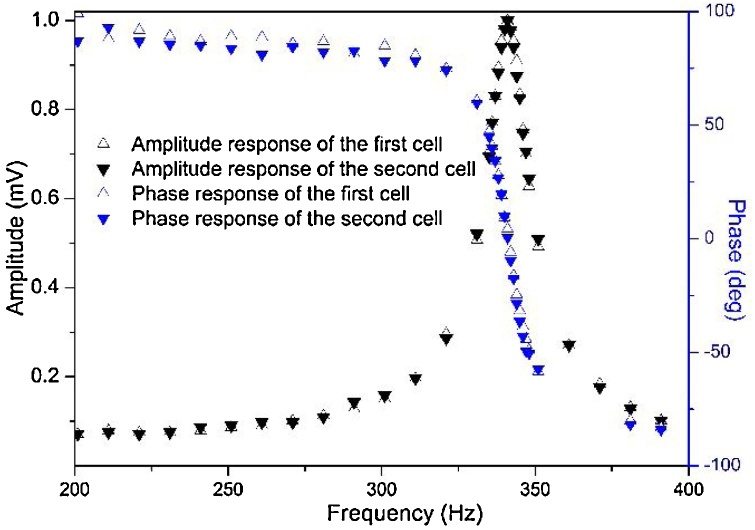 Fig. 2