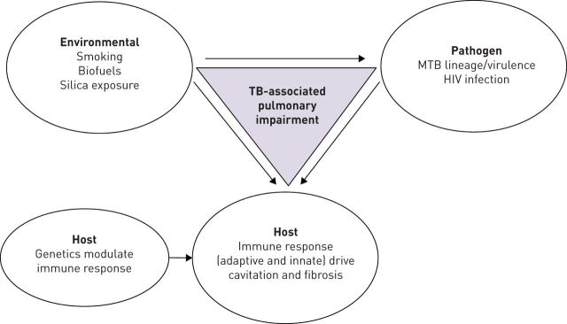 FIGURE 3