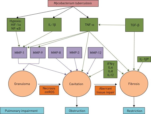 FIGURE 2