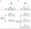 Figure  2