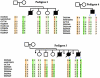 Figure  3