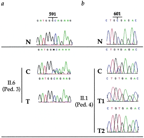 Figure  2