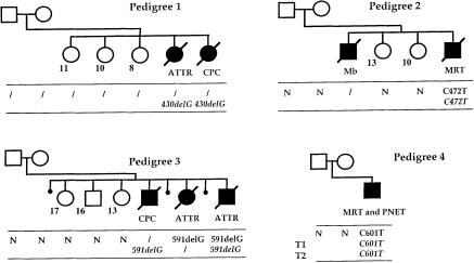 Figure  1