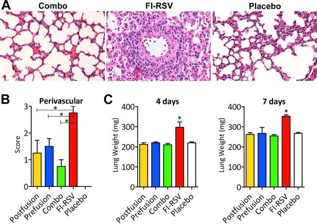 FIG 6