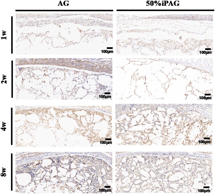 Figure 10.