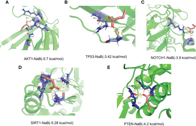 Figure 13