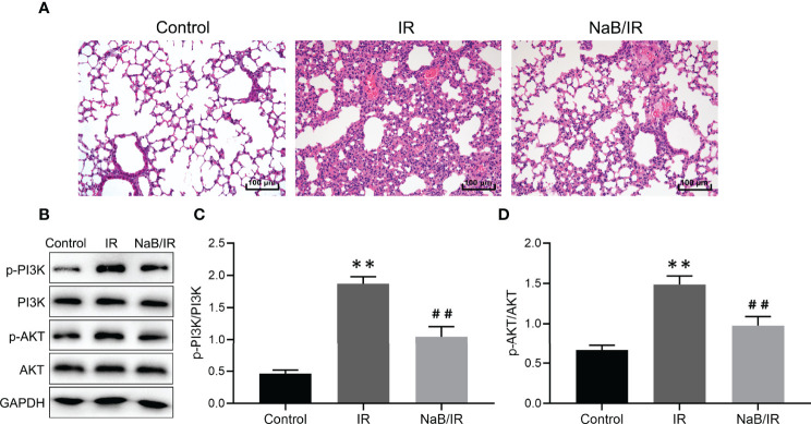 Figure 15