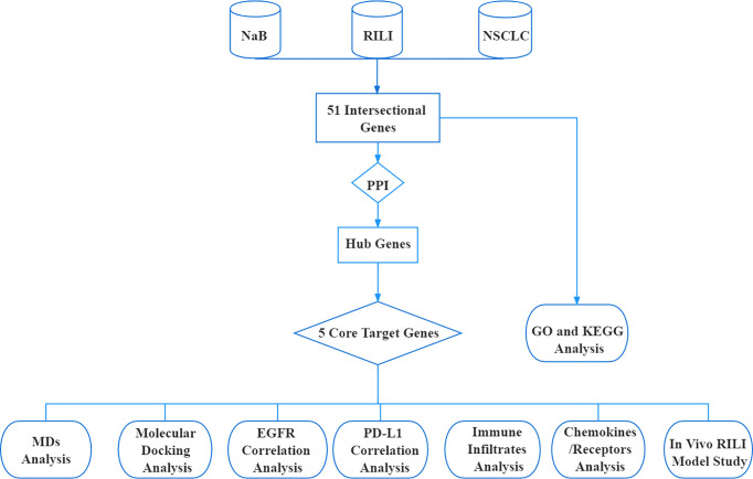 Figure 1