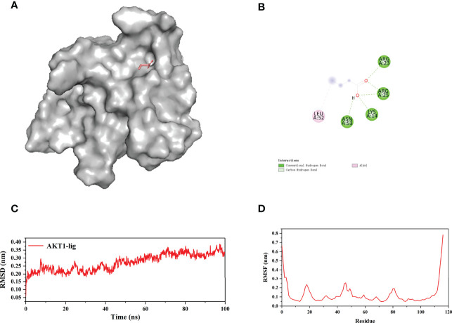 Figure 14