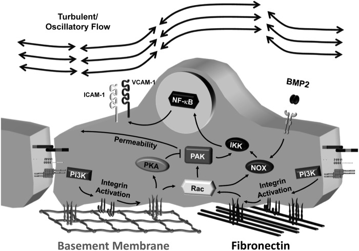 FIG. 7.