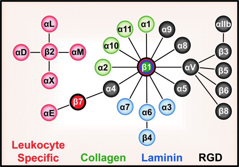 FIG. 2.