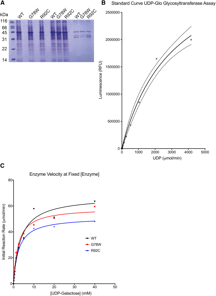 Figure 4